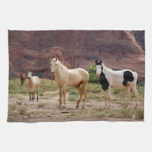 Arizona, Navajo-Indianerreservat, Chinle, Handtuch