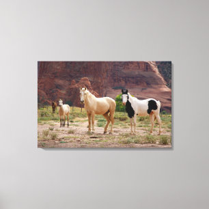 Arizona, Navajo-Indianerreservat, Chinle, Leinwanddruck