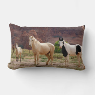 Arizona, Navajo-Indianerreservat, Chinle, Lendenkissen