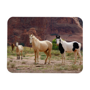 Arizona, Navajo-Indianerreservat, Chinle, Magnet