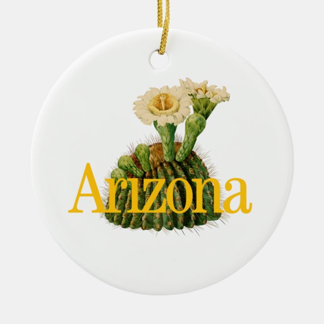 Arizona-Ornament mit Saguaro Cactus Keramik Ornament (Vorne)