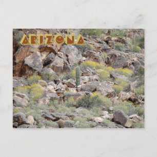 Arizona Postcard Postkarte