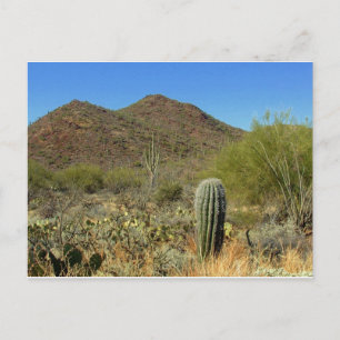 Arizona Postcard Postkarte