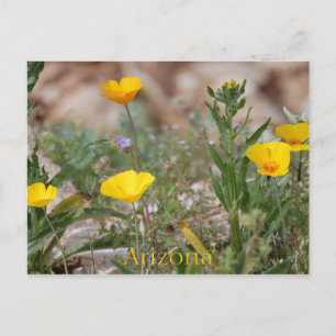 Arizona Postcard Postkarte