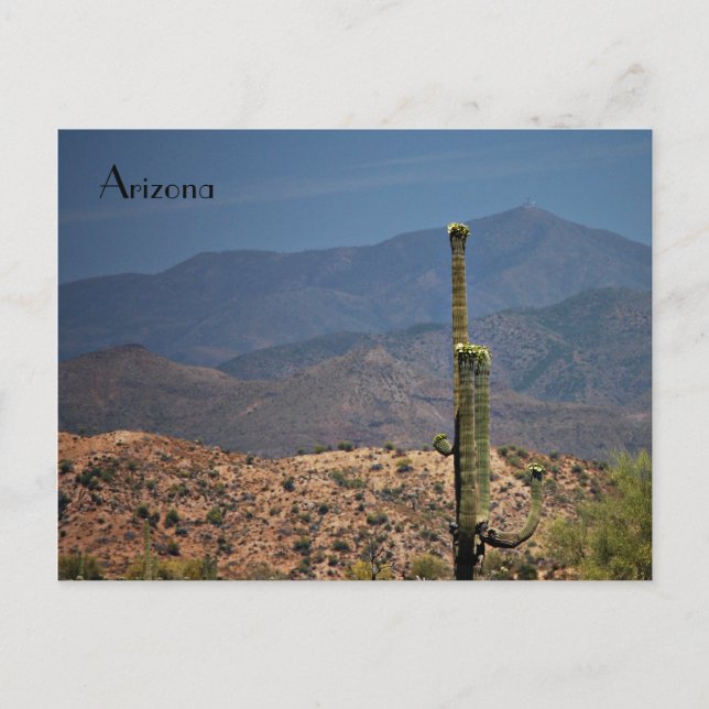 Arizona Postcard Postkarte (Vorderseite)