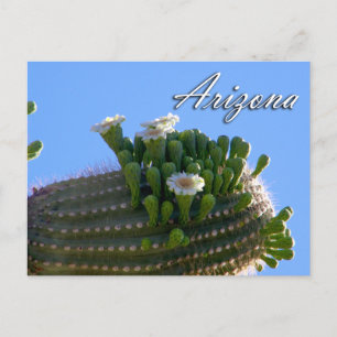 Arizona Postcard, Saguaro Cactus Postkarte