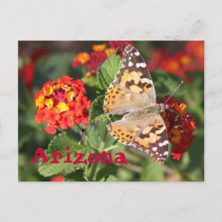 Arizona Postkarte