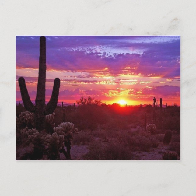 Arizona Postkarte (Vorderseite)