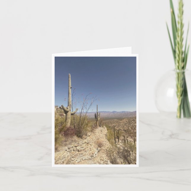 Arizona Postkarte 3 (Vorderseite)