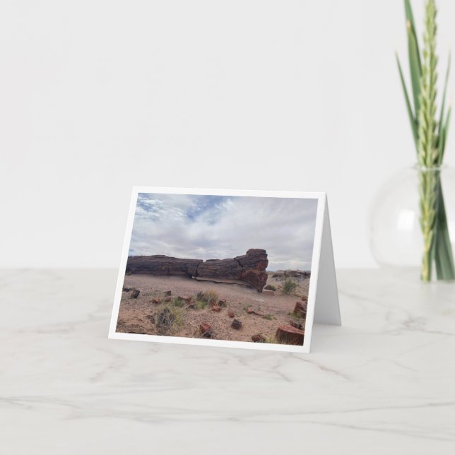 Arizona Postkarte 6 (Vorderseite)