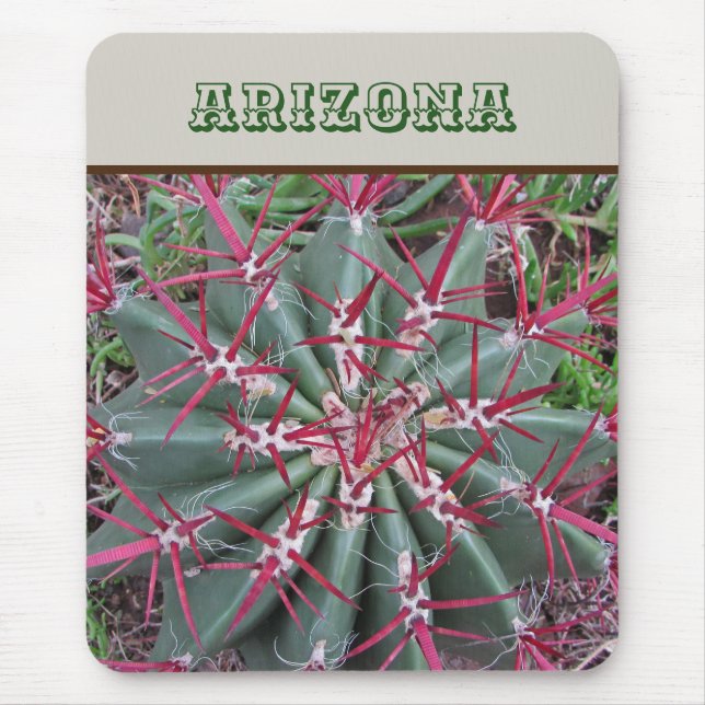 Arizona Red Barrel Cactus Desert Pflanze Südwest Mousepad (Vorne)