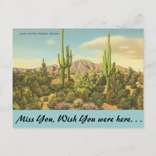 Arizona, Riesenkaktus Postkarte