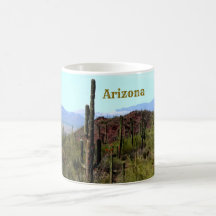 Arizona Saguaro Berglandschaft