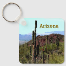 Arizona Saguaro Berglandschaft 