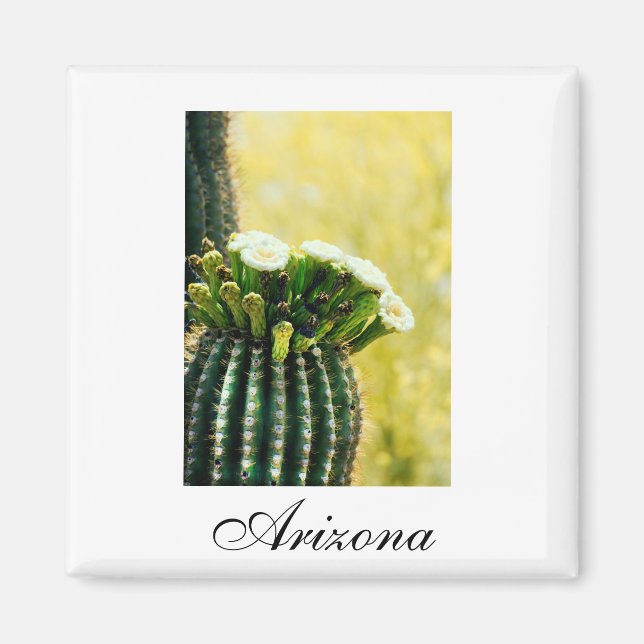 Arizona saguaro blüht magnet (Vorne)