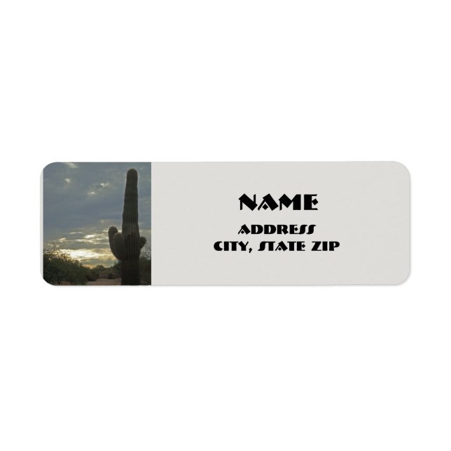 Arizona Saguaro Cactus Desert Pflanze Südwest (Vorne)