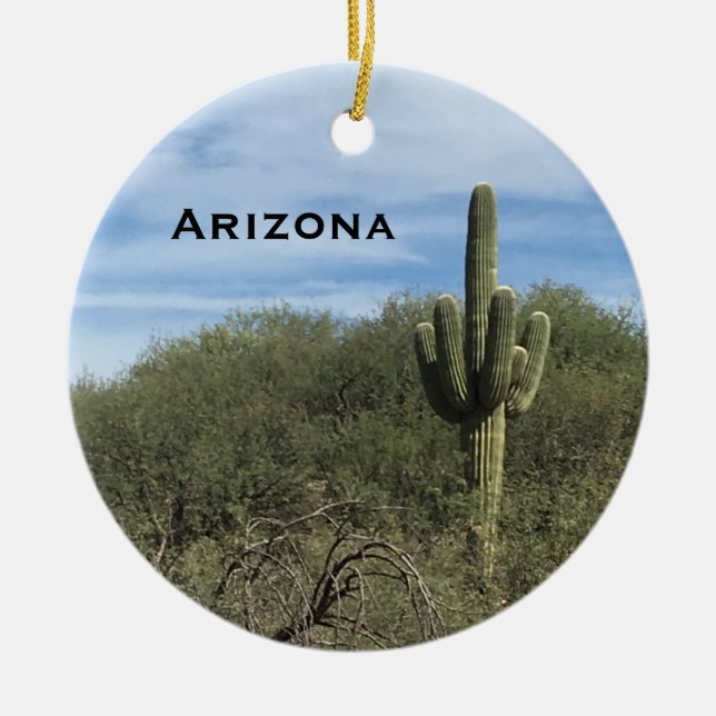 Arizona Saguaro Cactus Landschaft Keramik Ornament (Vorne)