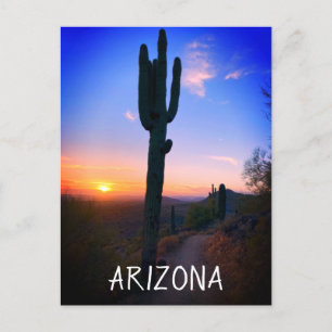 Arizona Saguaro Cactus Sunset Souvenir Travel Postkarte