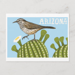 Arizona Saguaro Cactus Wren zeichnend Postkarte