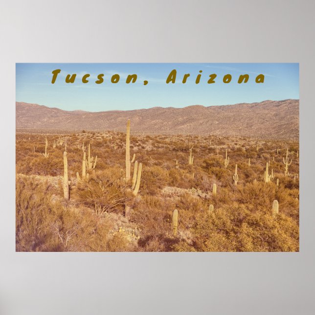Arizona Saguaros Poster (Vorne)