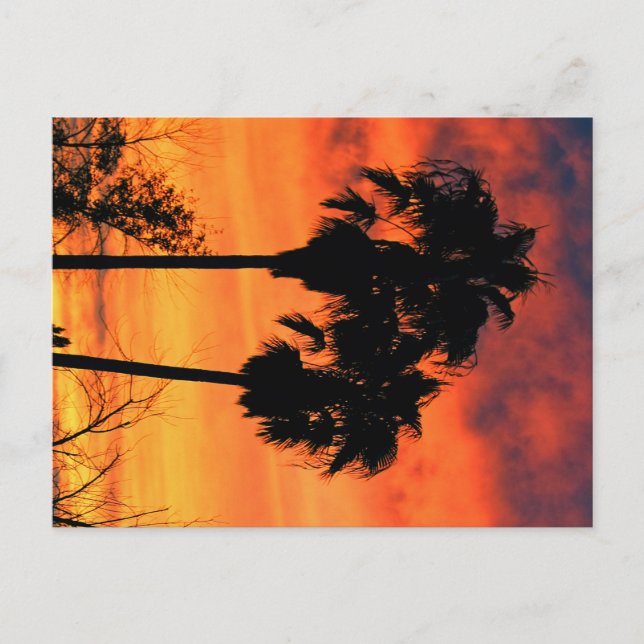 Arizona-Sonnenuntergang Postkarte (Vorderseite)