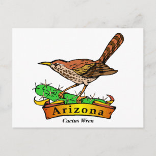 Arizona St. Blume Cactus Wren Postkarte