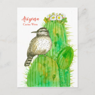 Arizona Staat Bird Cactus Wren White Blossoms Postkarte