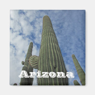 Arizona Südwest Cacti Blue Sky Saguaro Cactus Magnet