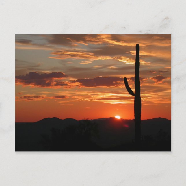 Arizona Sunset - atemberaubend Postkarte (Vorderseite)