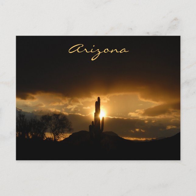 Arizona Sunset Postcard Postkarte (Vorderseite)