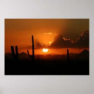 Arizona Sunset Poster