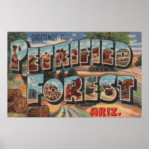 Arizona - versteinerter Wald - großer Buchstabe Poster
