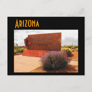Arizona (versteinerter Wald) Postkarte