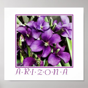 Arizona-violette Blütendrucke Poster