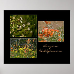 Arizona-Wildblumen-Druck Poster