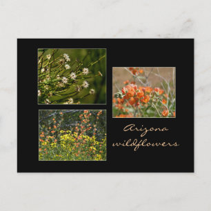 Arizona Wildblumen Postkarte
