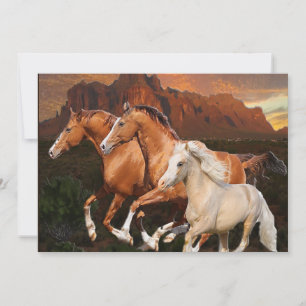 Arizona Wildpferde Dankeskarte