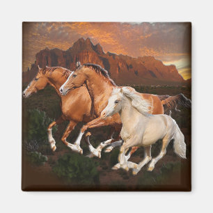 Arizona Wildpferde Magnet