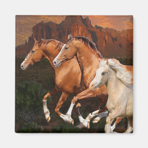Arizona Wildpferde Magnet