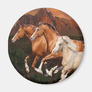 Arizona Wildpferde Magnet