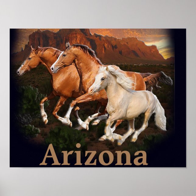 Arizona-Wildpferde Poster (Vorne)