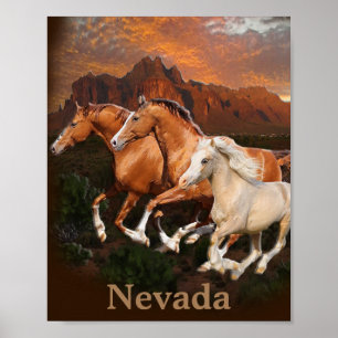 Arizona-Wildpferde Poster