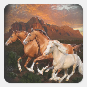 Arizona Wildpferde Quadratischer Aufkleber