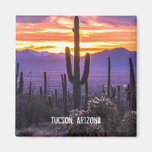 Arizona Wüste Cactus Sunset Nature Foto Souvenir Magnet