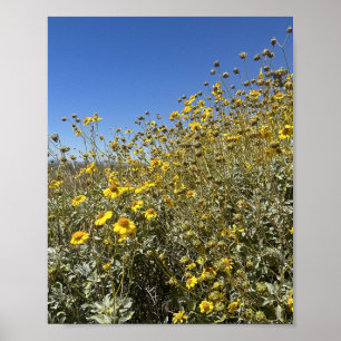 Arizona Wüste Gelbe Blumen Landschaft Poster