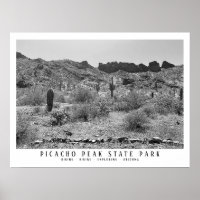 Arizona Wüste Picacho Staat Park/Garten: