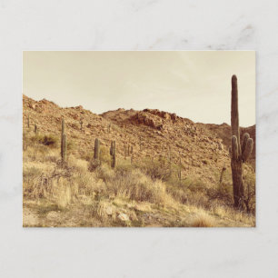 Arizona Wüste Postkarte