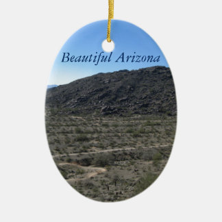 Arizona-Wüsten-Schönheit Keramikornament