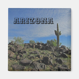 Arizona Wüstenlandschaft Foto Saguaro Cactus Magnet