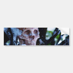 Arkane Winter I Autoaufkleber